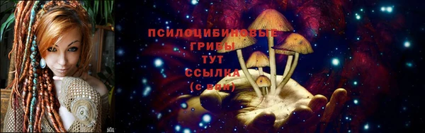 МДПВ Дмитриев