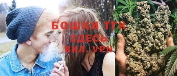 МДПВ Дмитриев