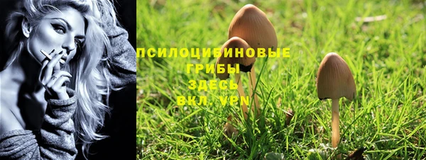 Альфа ПВП Елизово