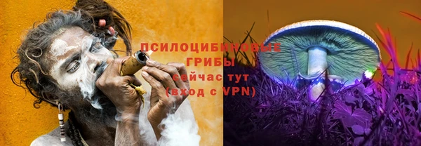 МДПВ Дмитриев