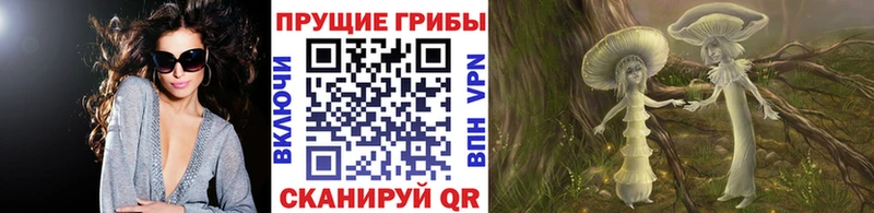 MEGA сайт  как найти   Таштагол  Псилоцибиновые грибы MAGIC MUSHROOMS 